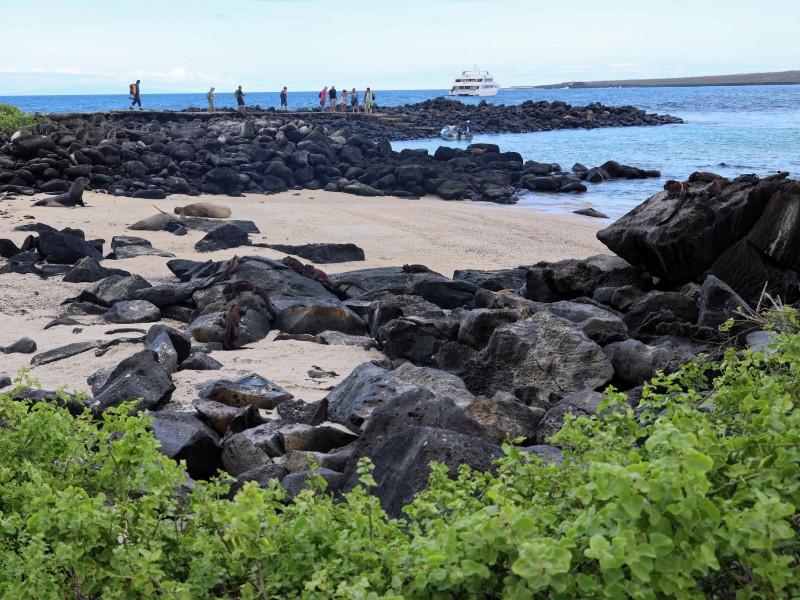 Ausflug auf Insel Espanola 
