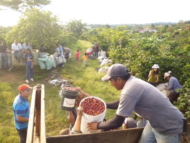 Costa Rica - Kaffeetouer