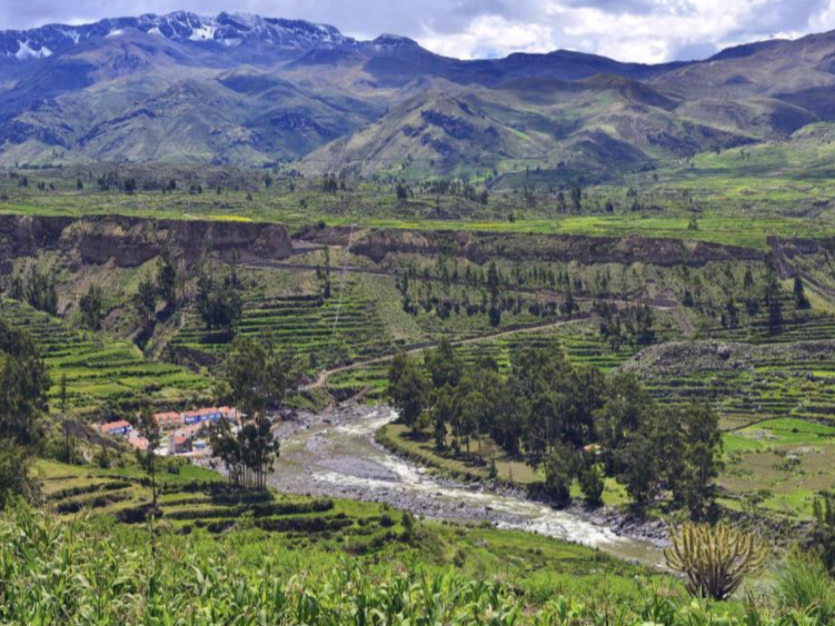 Colca1