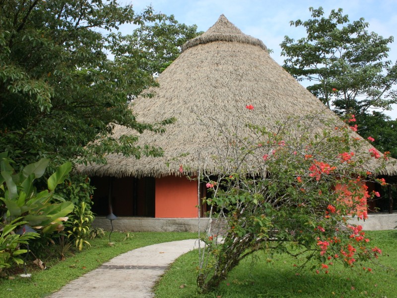 Sarapiquis Rainforest Lodge - Deluxe