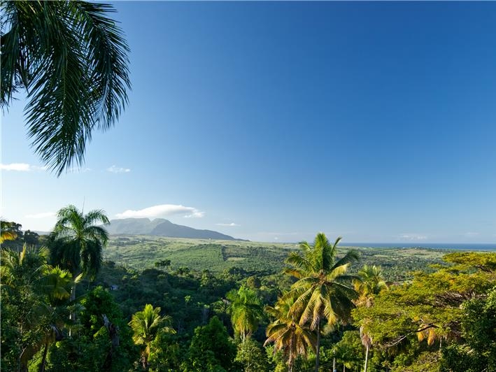 Tubagua Ecolodge - View