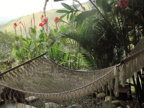 Garden Hammocks