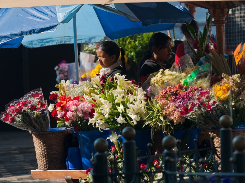 Flower market - Cuenca