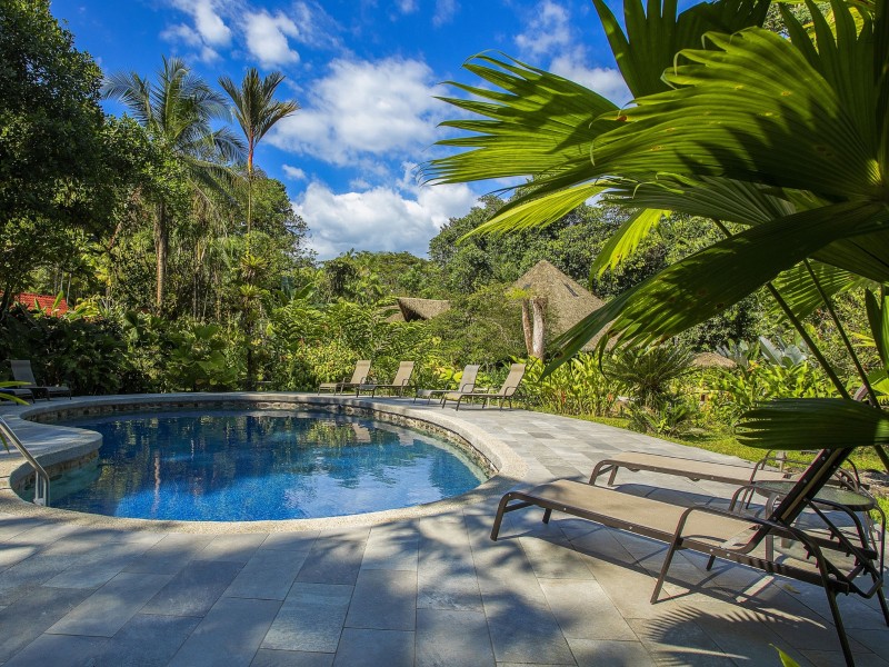 Esquinas Rainforest Lodge - Pool