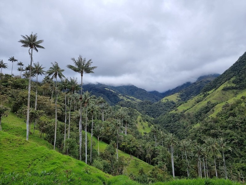 La Carbonera - Landschaft