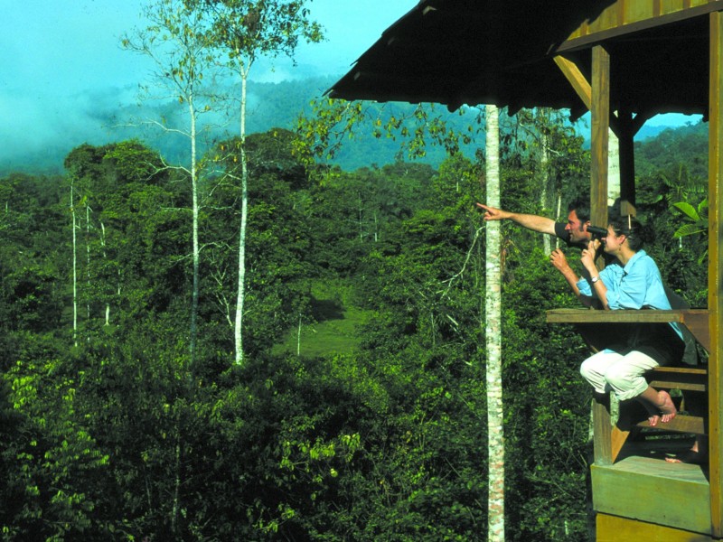 Selva Bananito Lodge Balkon mit Aussicht