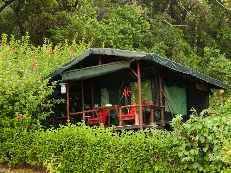 La Leona Ecolodge - Zelt