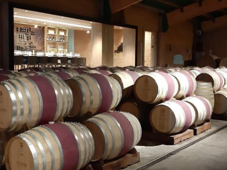 Weinreise im Casablanca