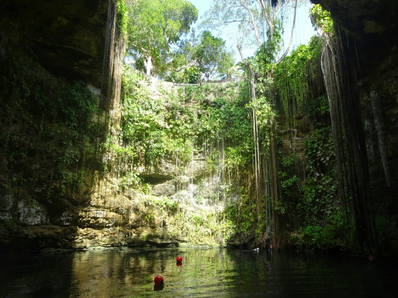 Cenotes Underground Snorkel