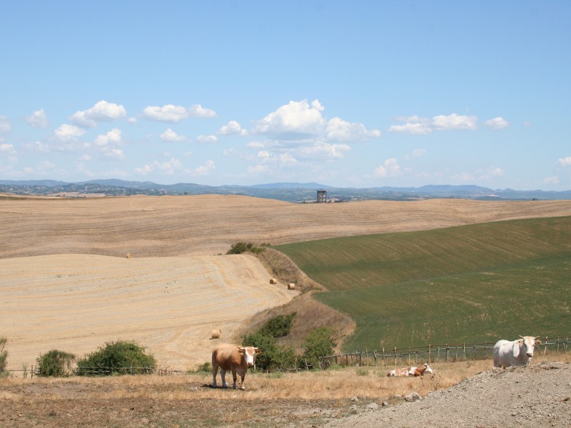 Val d’Orcia on MTB