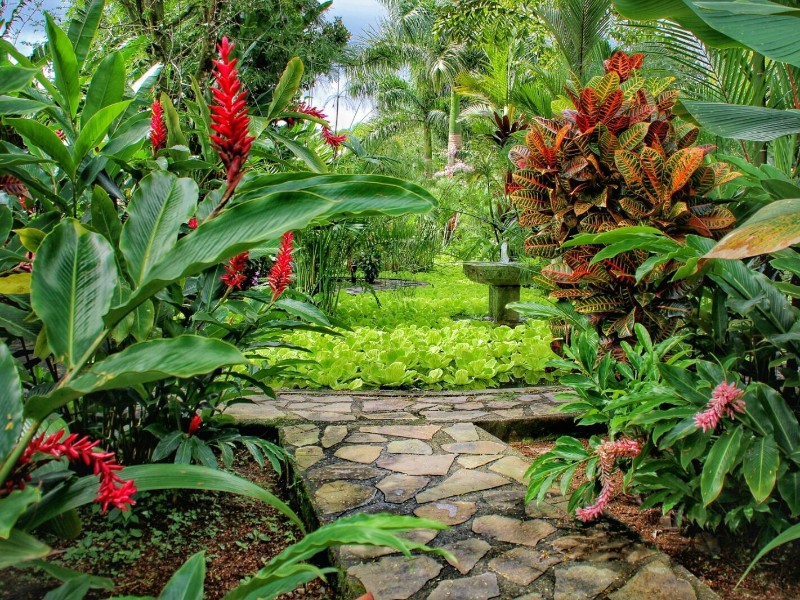 Nayara Gardens - Garten