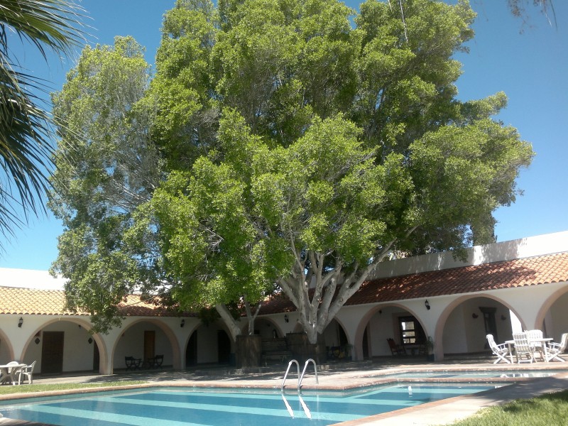 Misión Cataviña - Pool