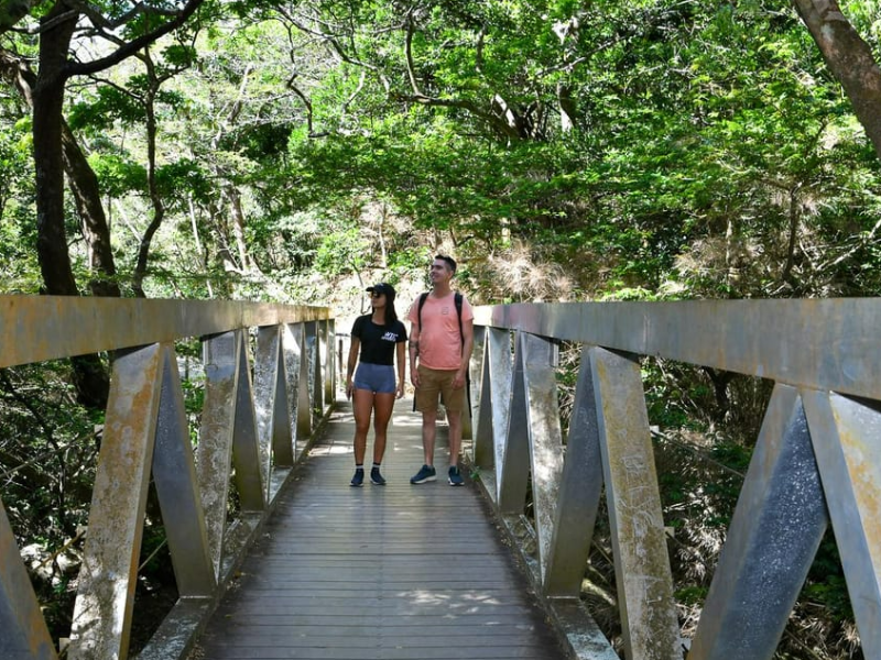 Rincon de la Vieja Volcano Park Guided T