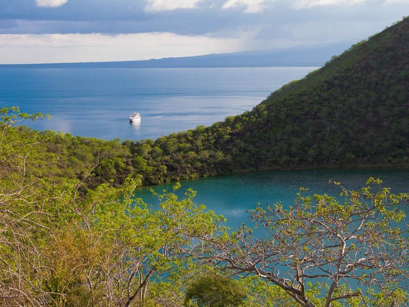 Tagus Cove auf der Insel Isabela