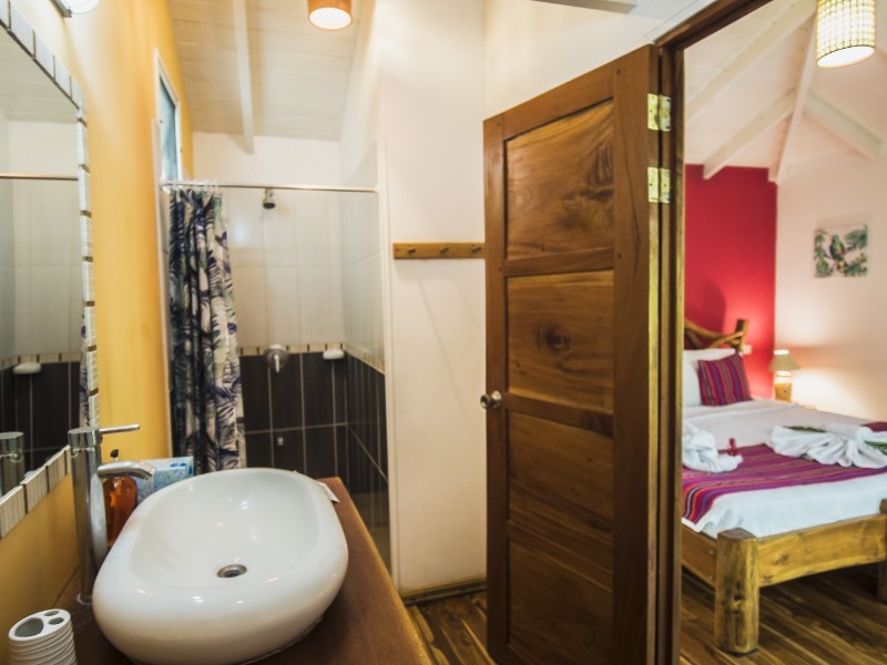 El Pequeño Gecko Verde - Standard Coco