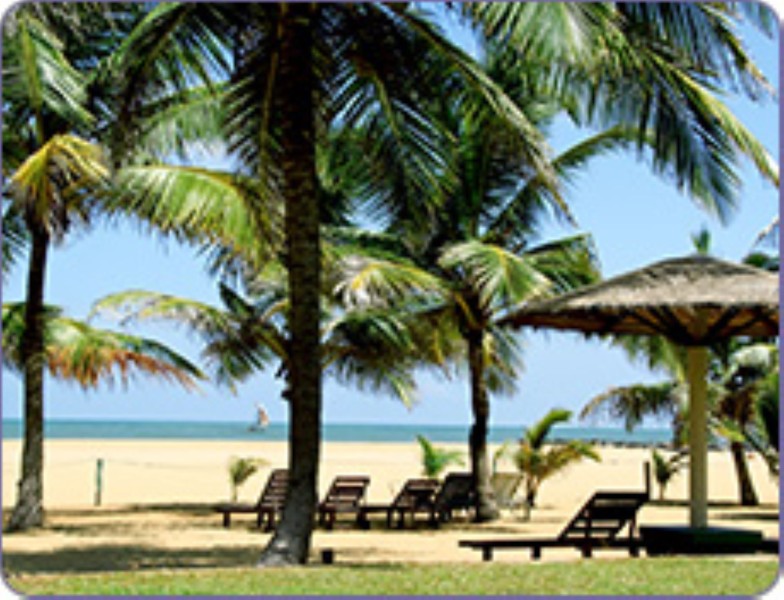 Goldi Beach