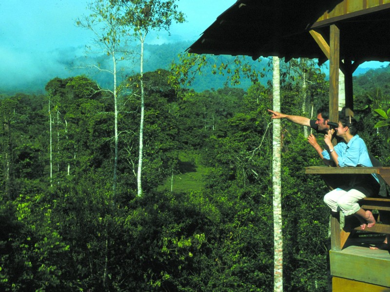 Selva Bananito Lodge - Sicht in Urwald