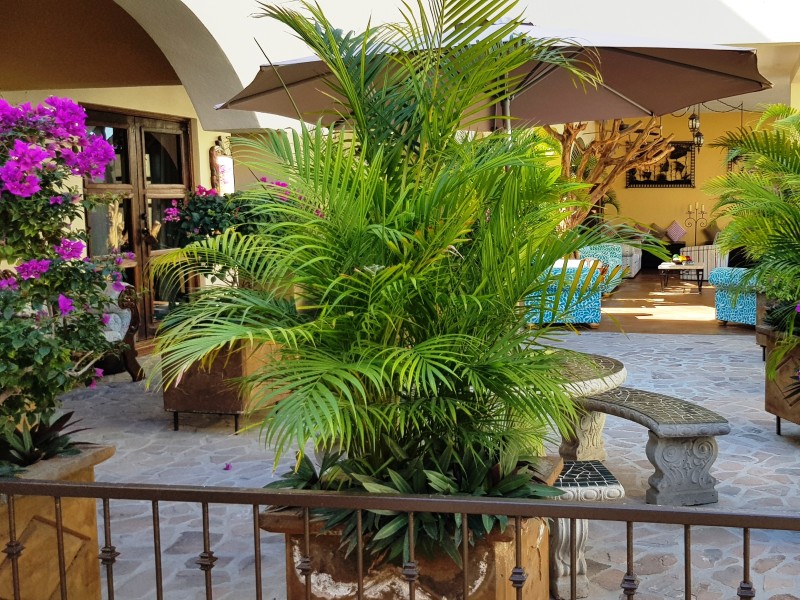 Posada de las Flores - Patio