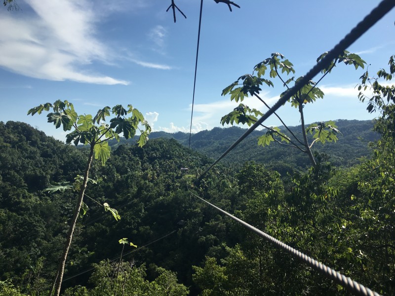 Samana - Samana Zipline