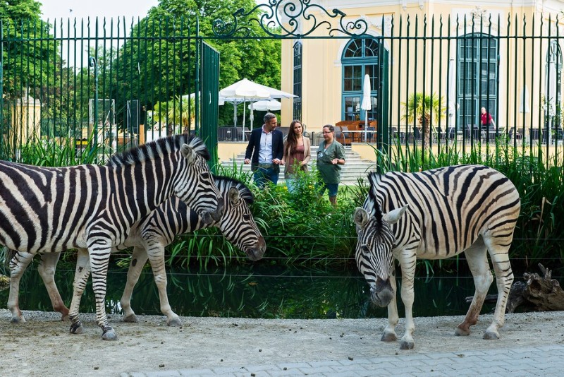 Vienna Zoo