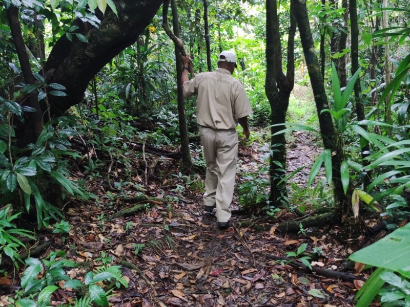 Walking Path on Walk 