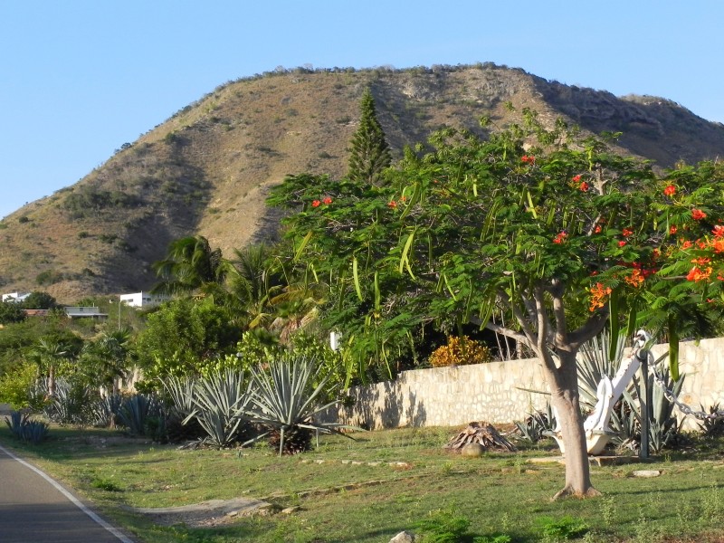El Morro - Gartenanlage mit El Morro