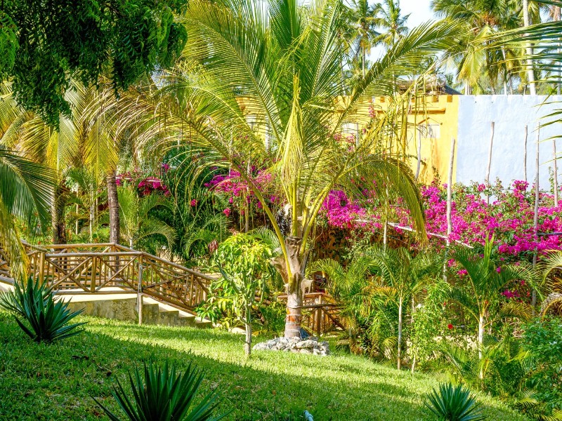 Zanzibar Bay Garden