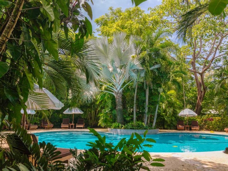 The Harmony Hotel - Pool