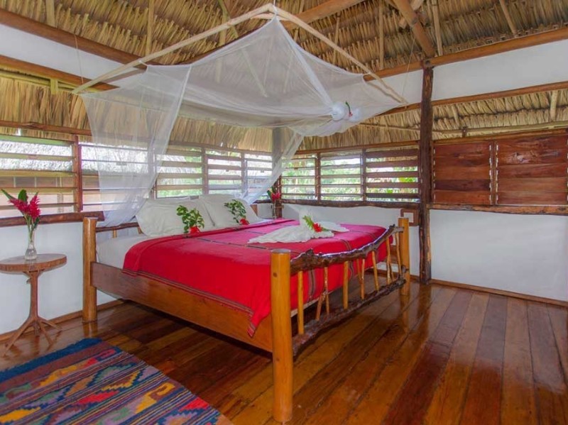 Cotton Tree Lodge - Cabaña