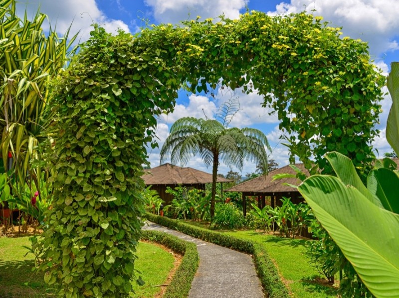 Lomas del Volcan - Garten