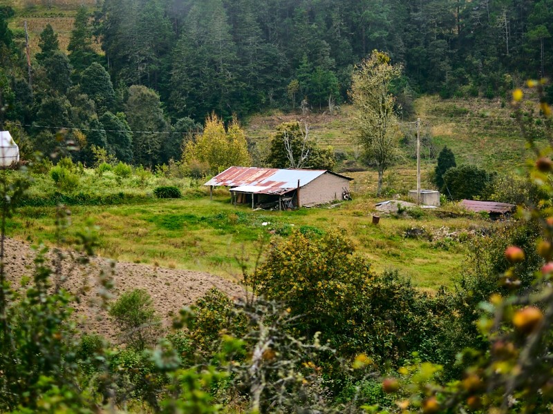 Sierra Norte Secrets: A Day of Rural Dis