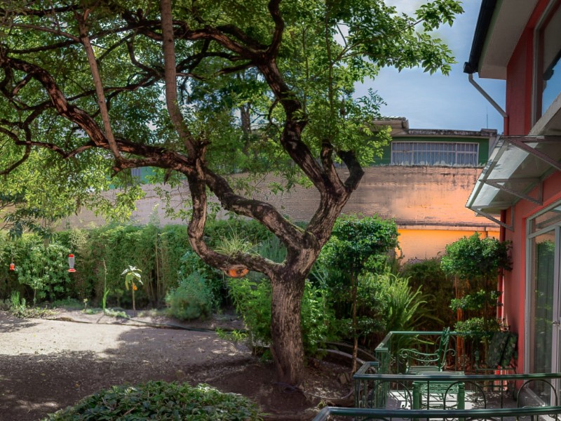 Garten von Casa Aliso