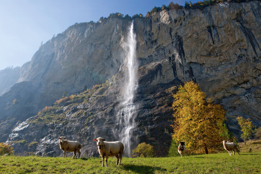 Staubbach Falls Lauterbrunnen