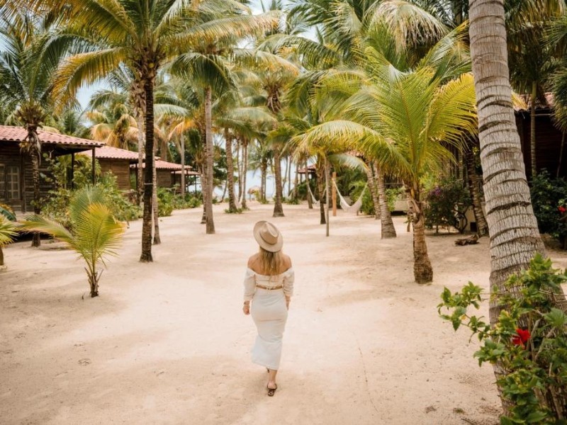 Petit Lafatte - Anlage