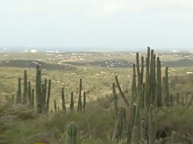 Views from Arikok Park