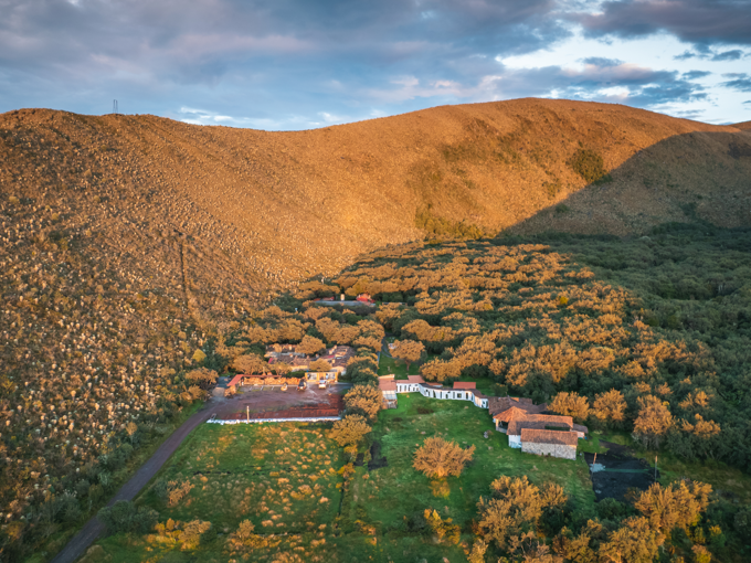 Panoramic