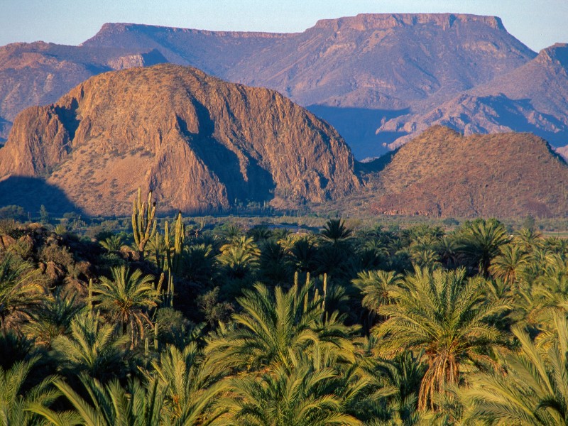 Mulegé - Landschaft