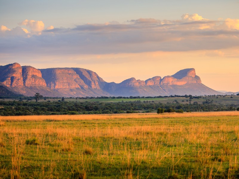 Südafrika_Limpopo_Waterberg Region_shutt