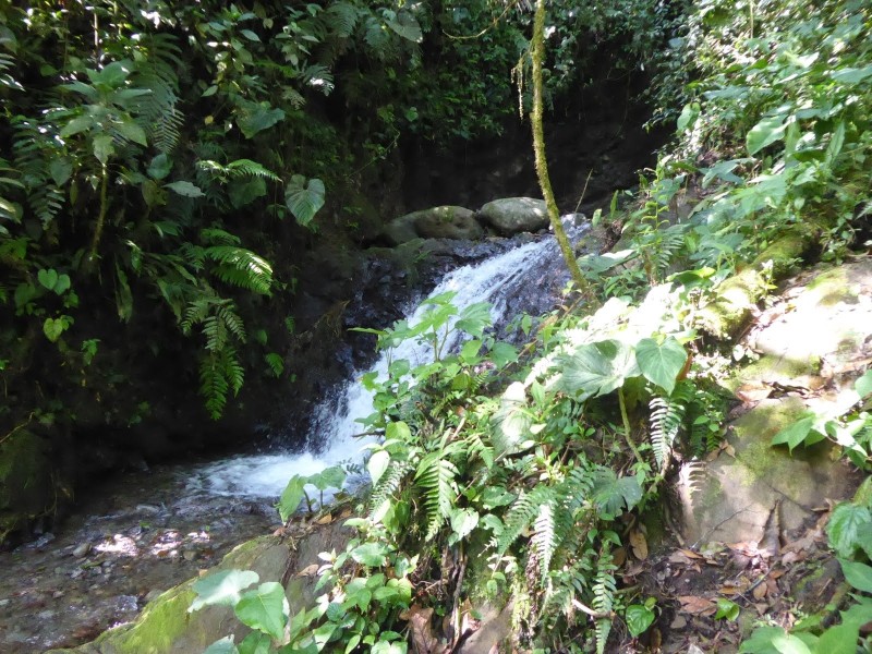 Wasserfall am Wanderweg