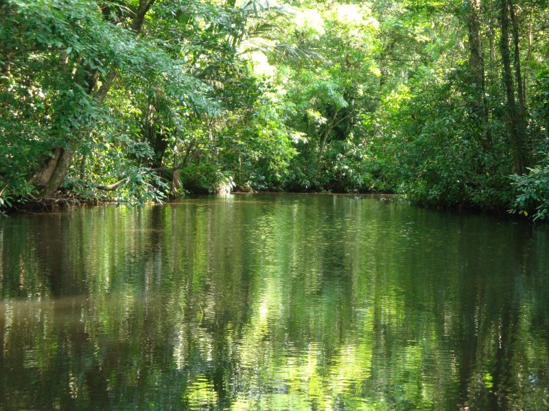 Tortuguero