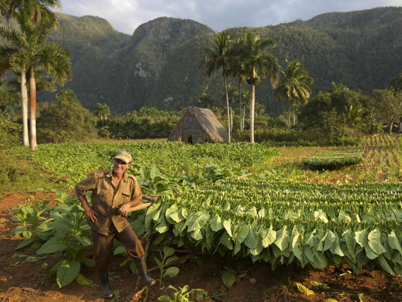 Viñales