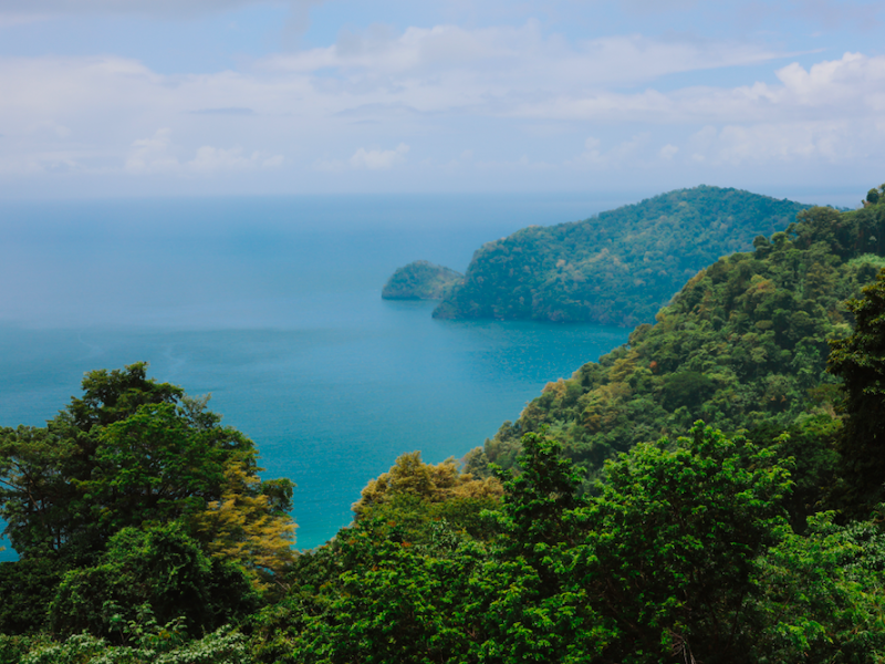 Drive to Maracas 