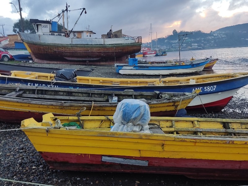 Chiloe boats