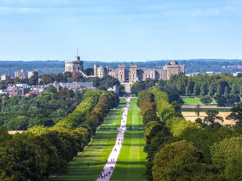 Windsor 