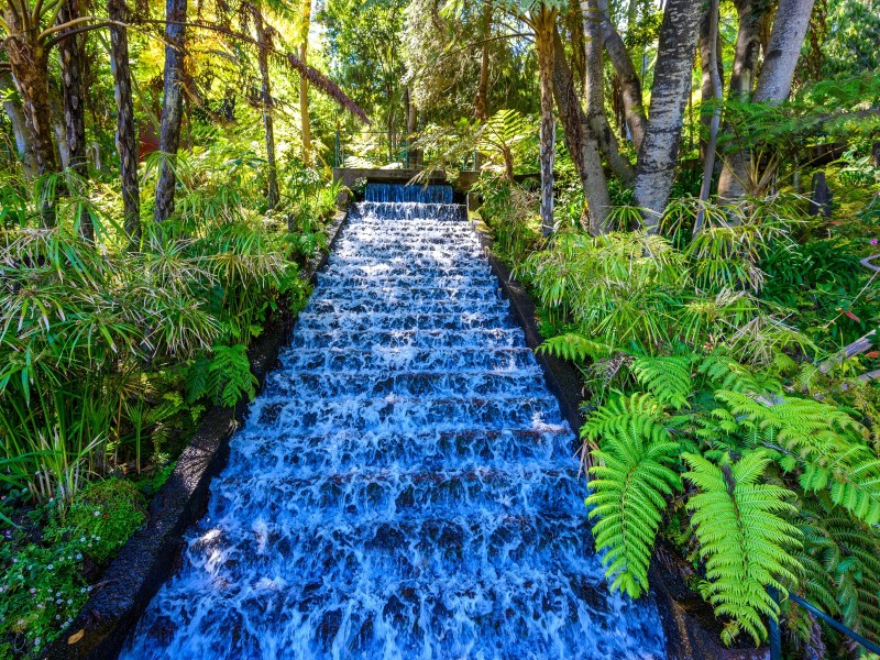 Portugal, Madeira - Monte Palace (3)