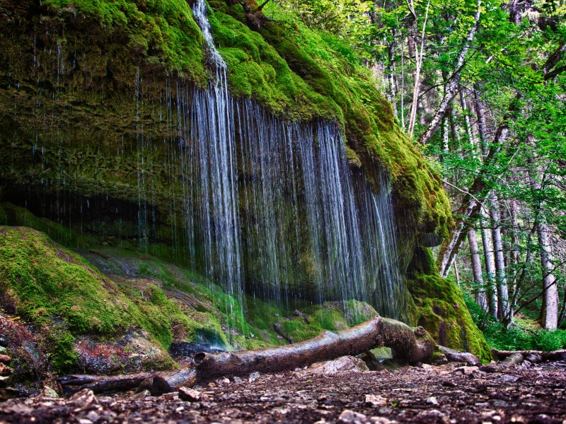 Germany - Schwartzwald 1
