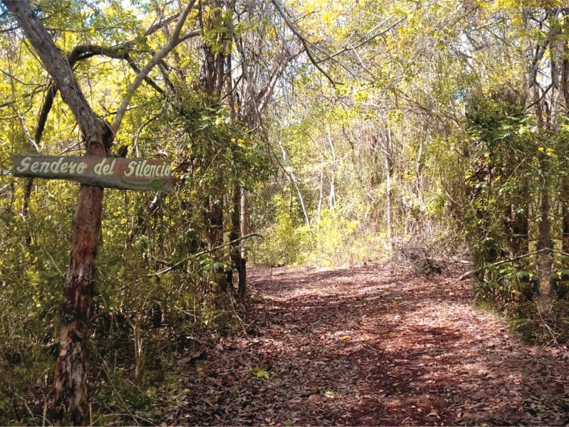 Nueva Altía - Wandern