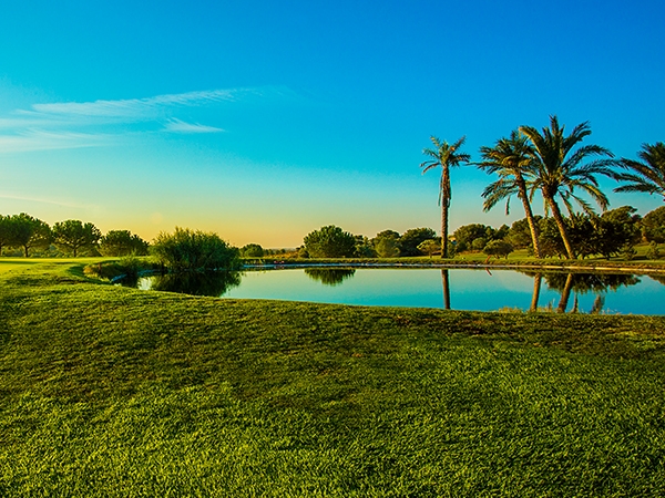 Alenda Golf © Golf CLub