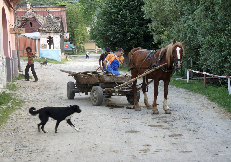 Sibiel Locals