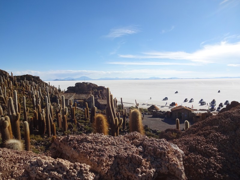 Incahuasi Island